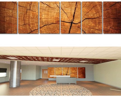 Interior Design by ArcWest Architects