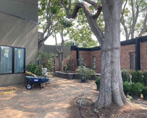 ArcWest-Architects-Rino-urban-oasis-courtyard2